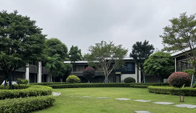 提升患者体验：医疗机构合作中的健康管理实践
